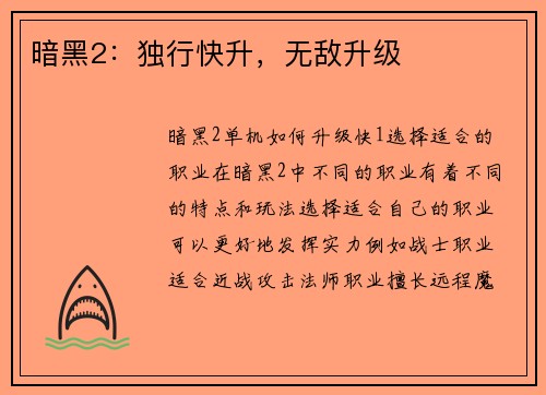 暗黑2：独行快升，无敌升级